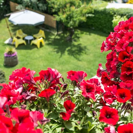 B&B Il Girasole-2